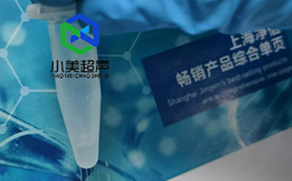 腫瘤細(xì)胞破碎用一體式超聲波細(xì)胞破碎儀實(shí)驗(yàn)破碎提取蛋白效果如何？