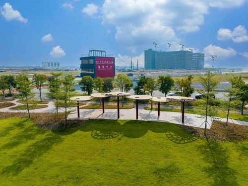 突出特色錯位發(fā)展 江海區(qū)構建 外海制造 禮樂 農業(yè) 工業(yè) 雙擎驅動 江南 總部 商貿 發(fā)展格局