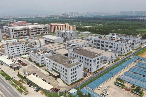 立足灣區(qū) 攜手歐洲 走向世界 江門塑造國(guó)際經(jīng)貿(mào)合作新優(yōu)勢(shì)